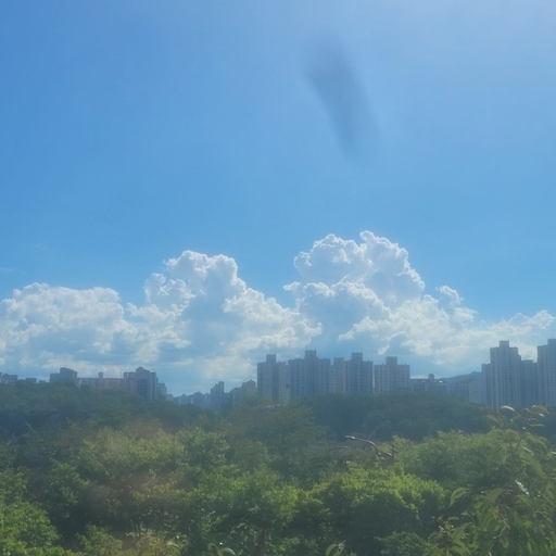피드 이미지