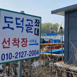 피드에 업로드 된 이미지