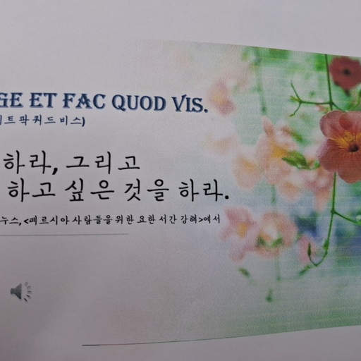 피드 이미지