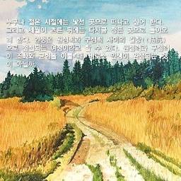 피드에 업로드 된 이미지