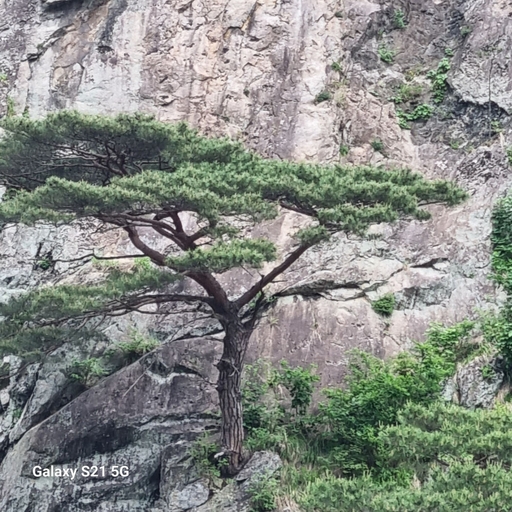 피드 이미지