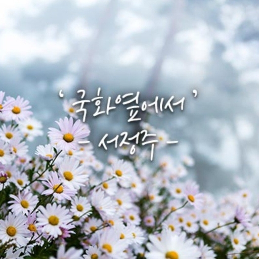 피드 이미지