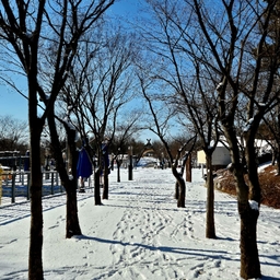 피드에 업로드 된 이미지