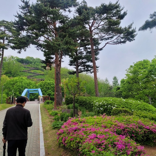 피드 이미지