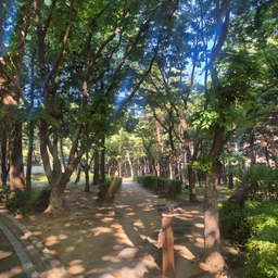 피드에 업로드 된 이미지
