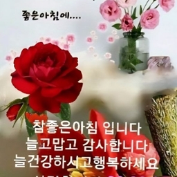 피드에 업로드 된 이미지