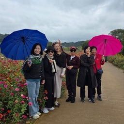 피드에 업로드 된 이미지