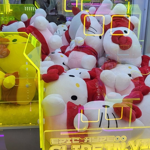피드 이미지