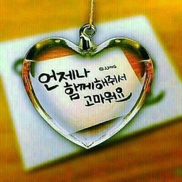 ํผ๋์ ์
๋ก๋ ๋ ์ด๋ฏธ์ง