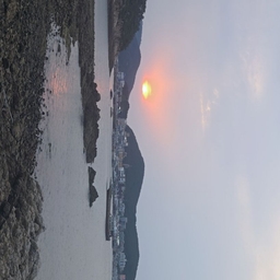 피드에 업로드 된 이미지