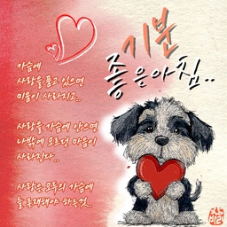 피드에 업로드 된 이미지