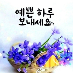 피드에 업로드 된 이미지