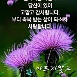 피드에 업로드 된 이미지