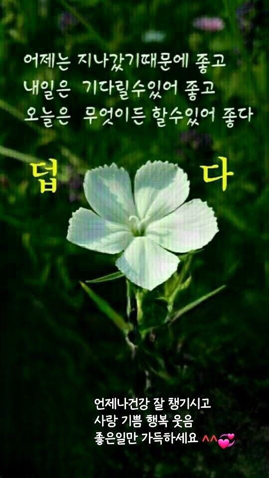 피드에 업로드 된 이미지