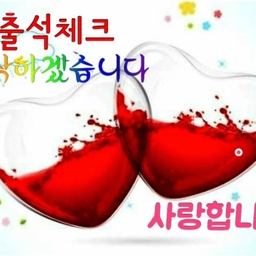 피드에 업로드 된 이미지