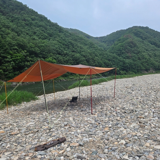 피드 이미지