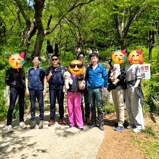 피드 이미지