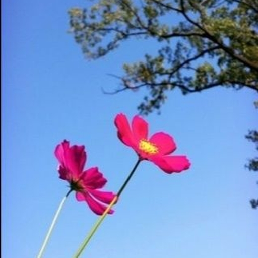 피드 이미지