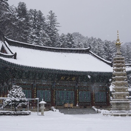 피드에 업로드 된 이미지