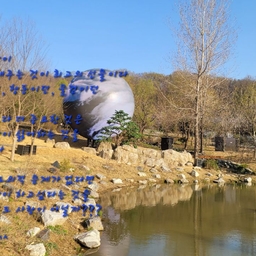 피드에 업로드 된 이미지
