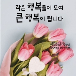 피드에 업로드 된 이미지
