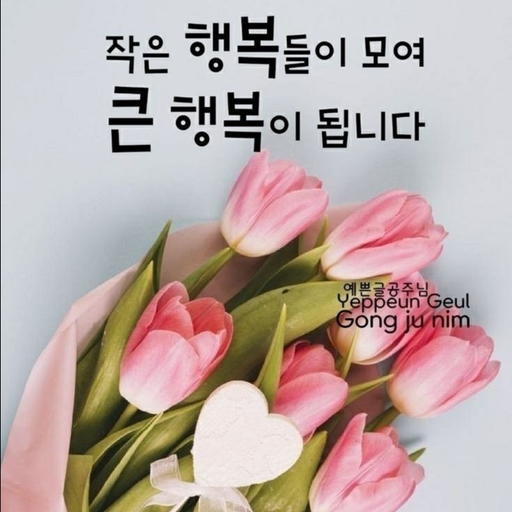 피드 이미지
