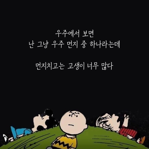 피드 이미지
