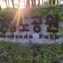 피드에 업로드 된 이미지