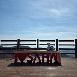 피드에 업로드 된 이미지