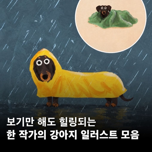 피드 이미지
