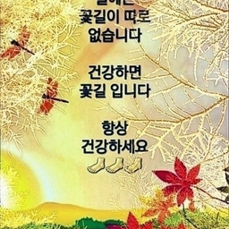 피드에 업로드 된 이미지