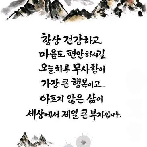 피드 이미지