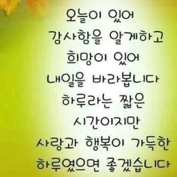 νΌλμ μ
λ‘λ λ μ΄λ―Έμ§