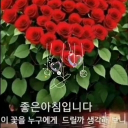피드에 업로드 된 이미지