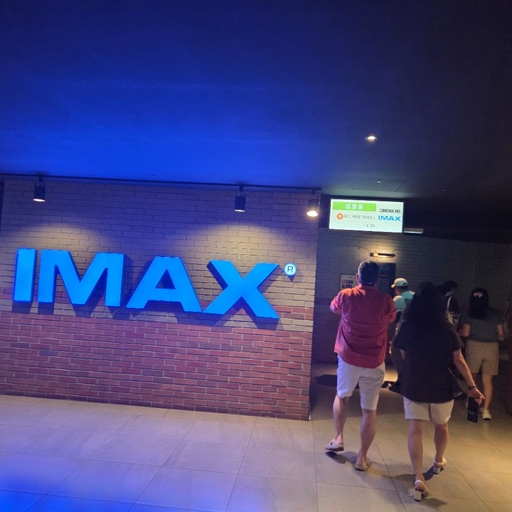피드 이미지