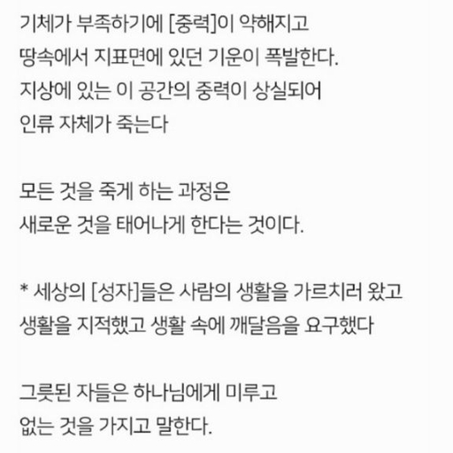 피드 이미지