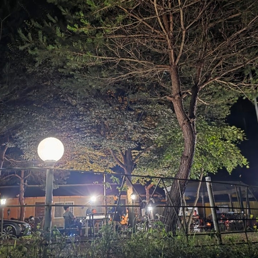 피드 이미지
