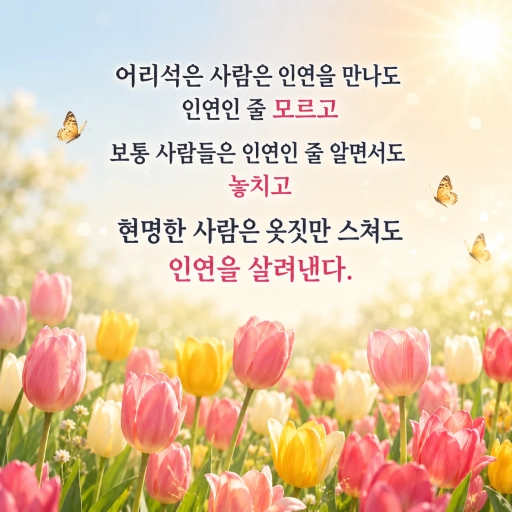 피드 이미지
