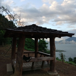 피드에 업로드 된 이미지