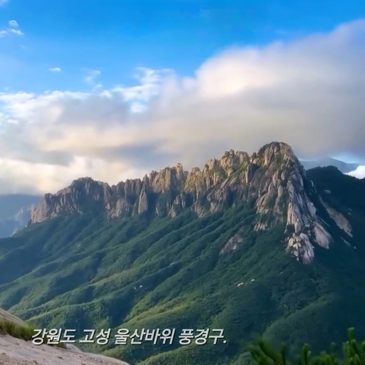 피드 이미지