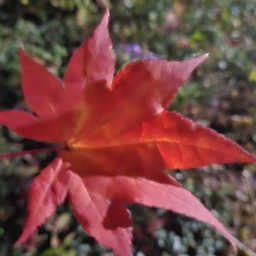 피드에 업로드 된 이미지