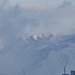 피드에 업로드 된 이미지