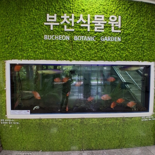 피드 이미지