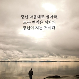 피드에 업로드 된 이미지