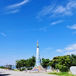 피드에 업로드 된 이미지