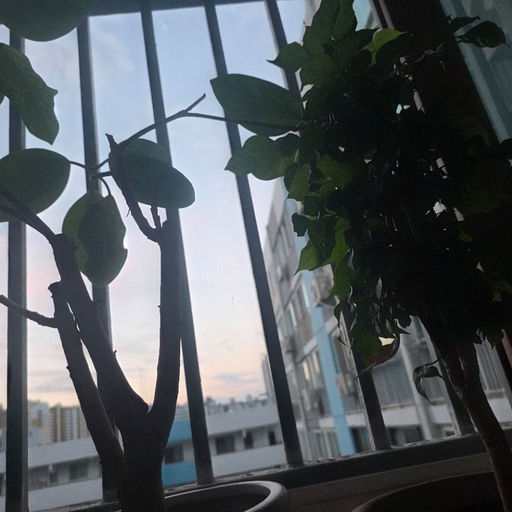 피드 이미지