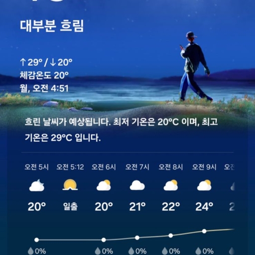 피드 이미지