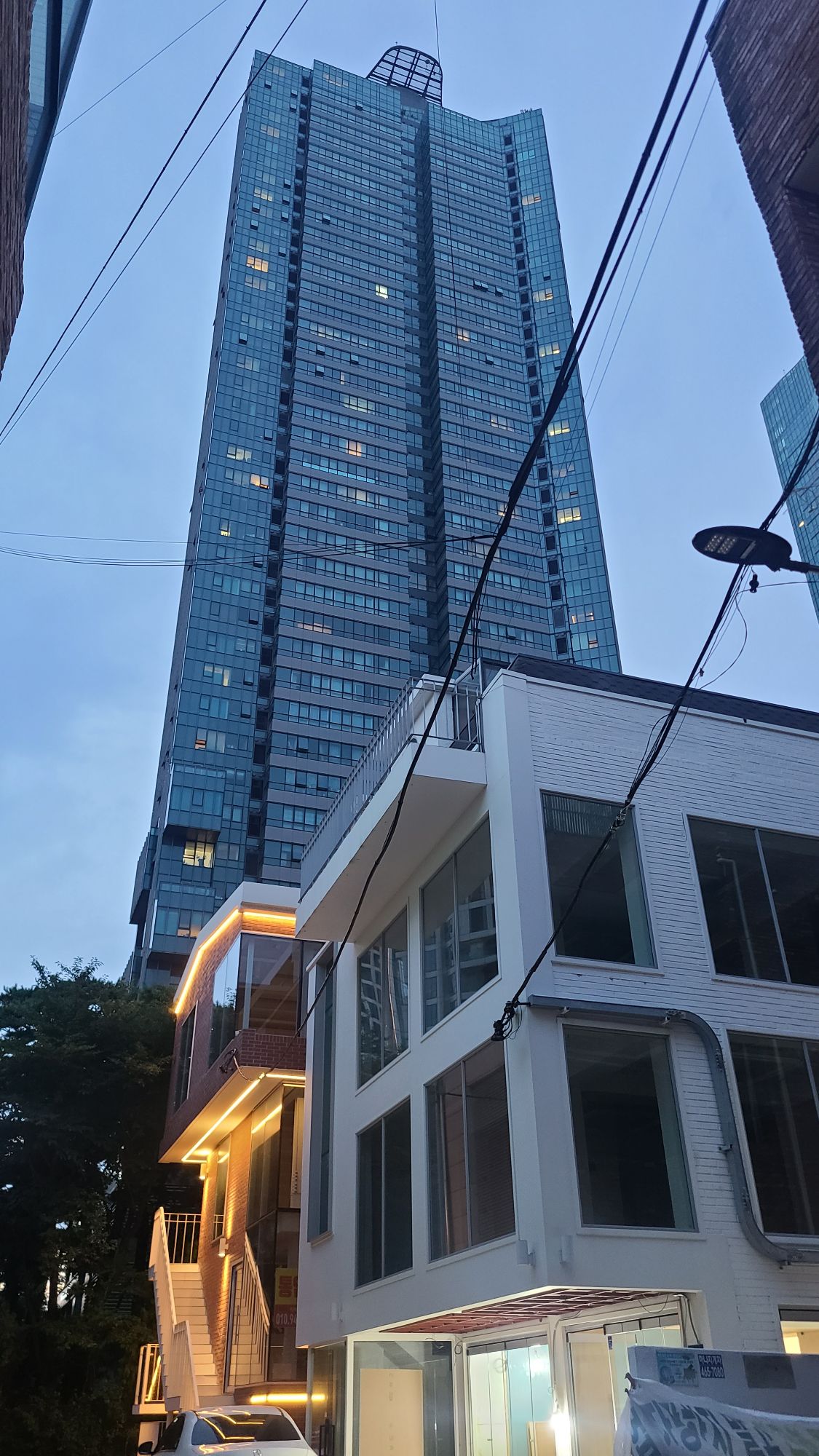 피드 이미지