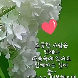피드에 업로드 된 이미지