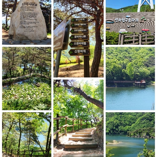 피드 이미지